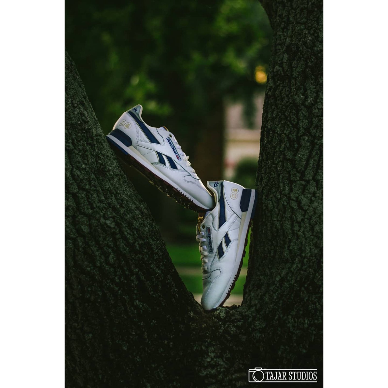 Product photography sample